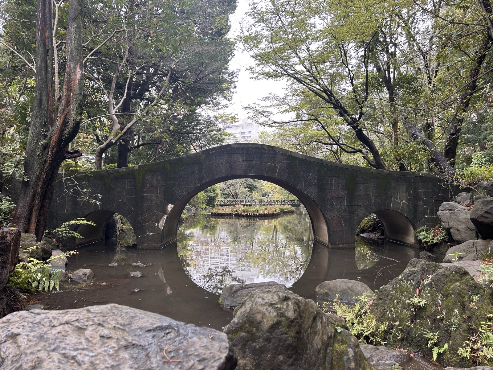 Arisugawa-no-miya Memorial Park, Hiroo — wooded hills a few minutes from the door